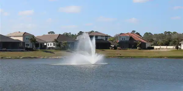 35 DEL PALMA DRIVE