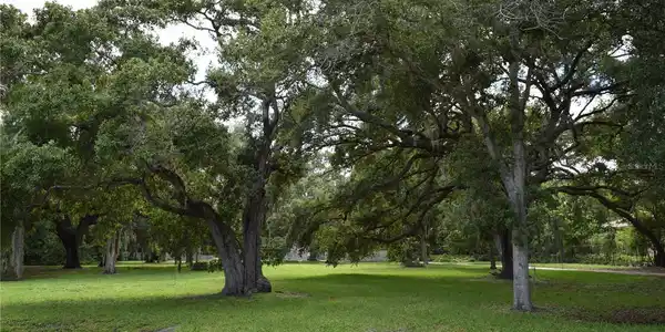 ABBEY LAKE ROAD