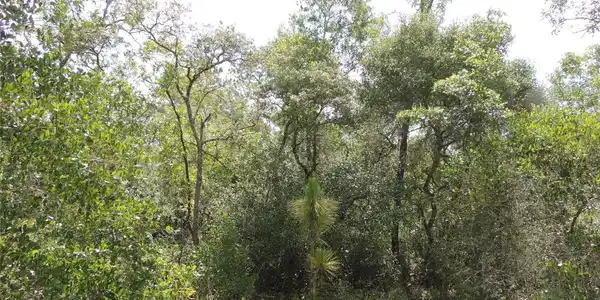 Image 3 Image 3