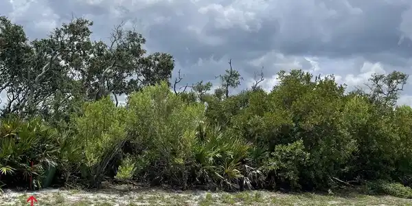 10 ROLLINS DUNES DRIVE