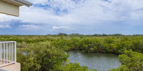 3260 MANGROVE POINT DRIVE