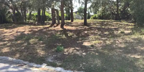 Image 4 Image 4