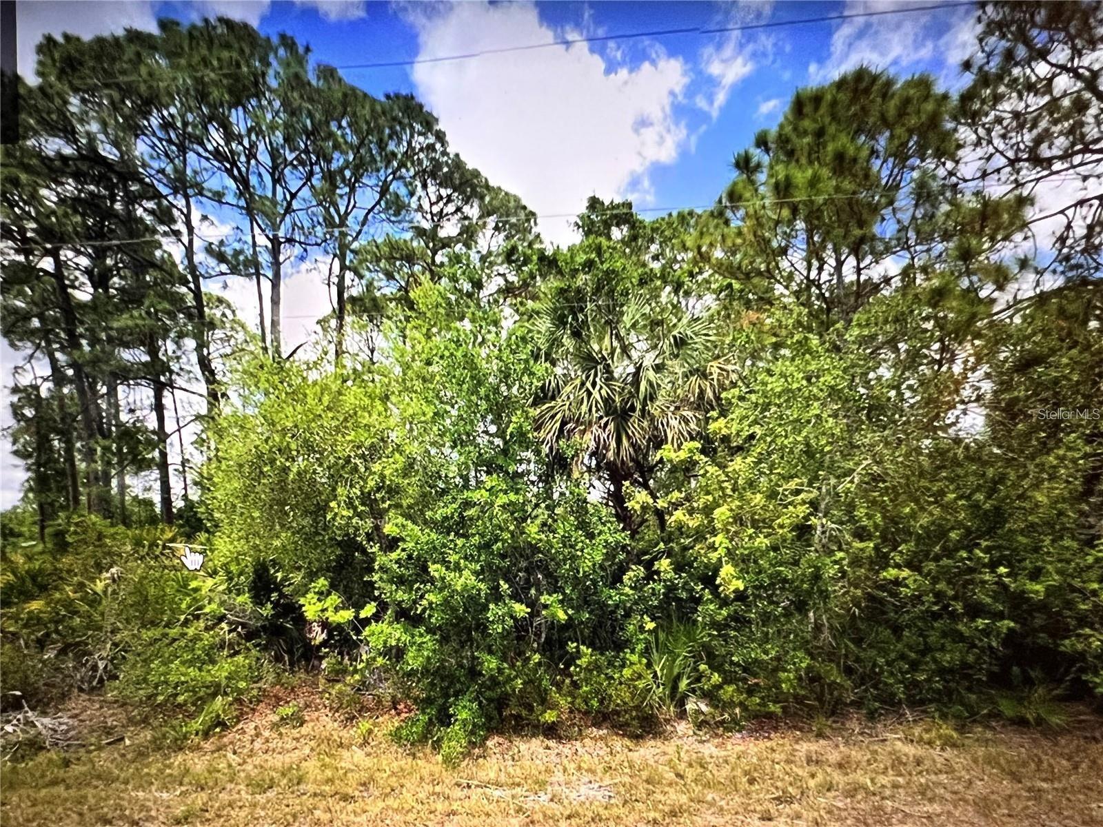 Image 4 Image 4