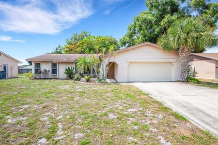 816 QUEEN PALM LANE