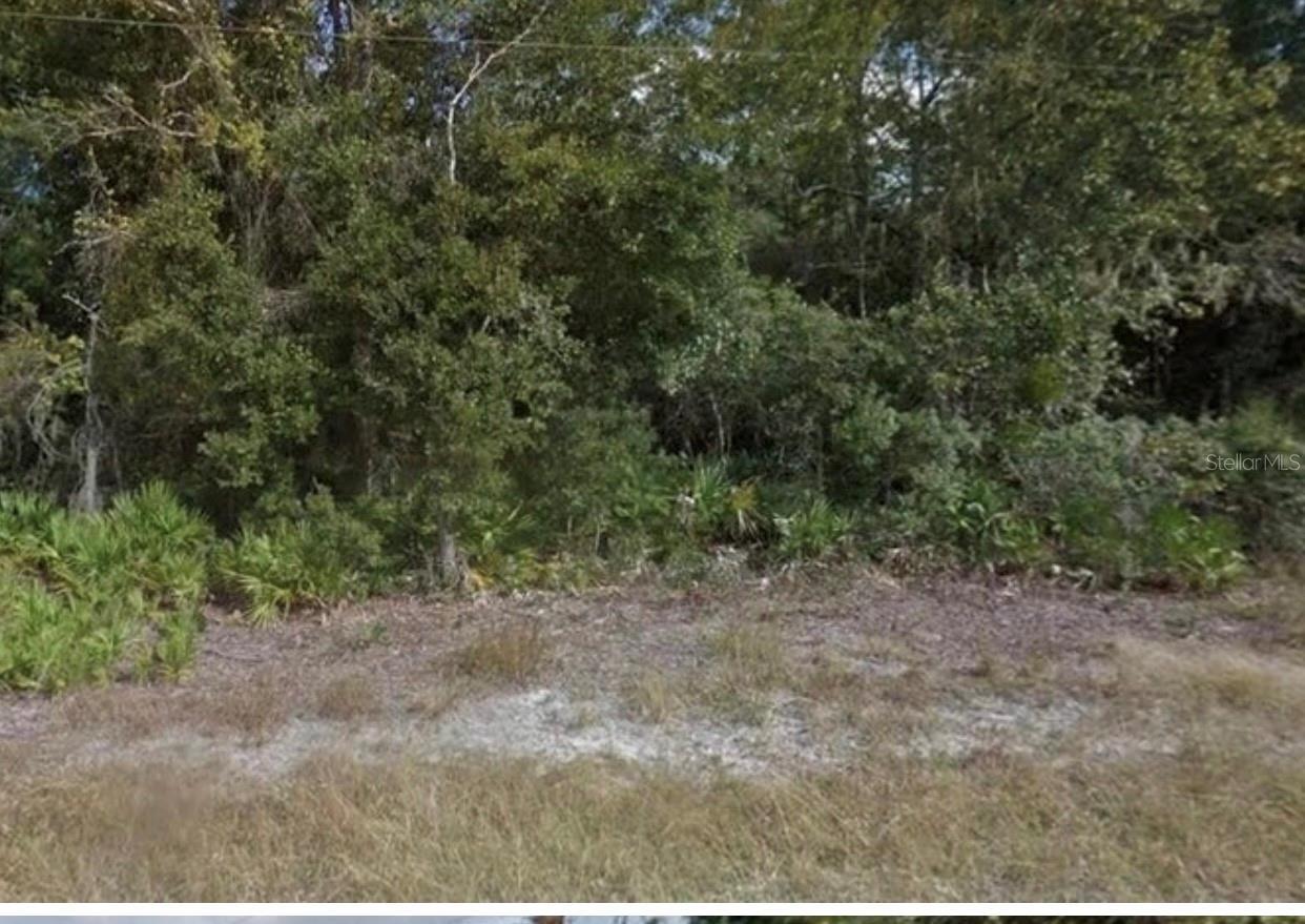 Image 3 Image 3