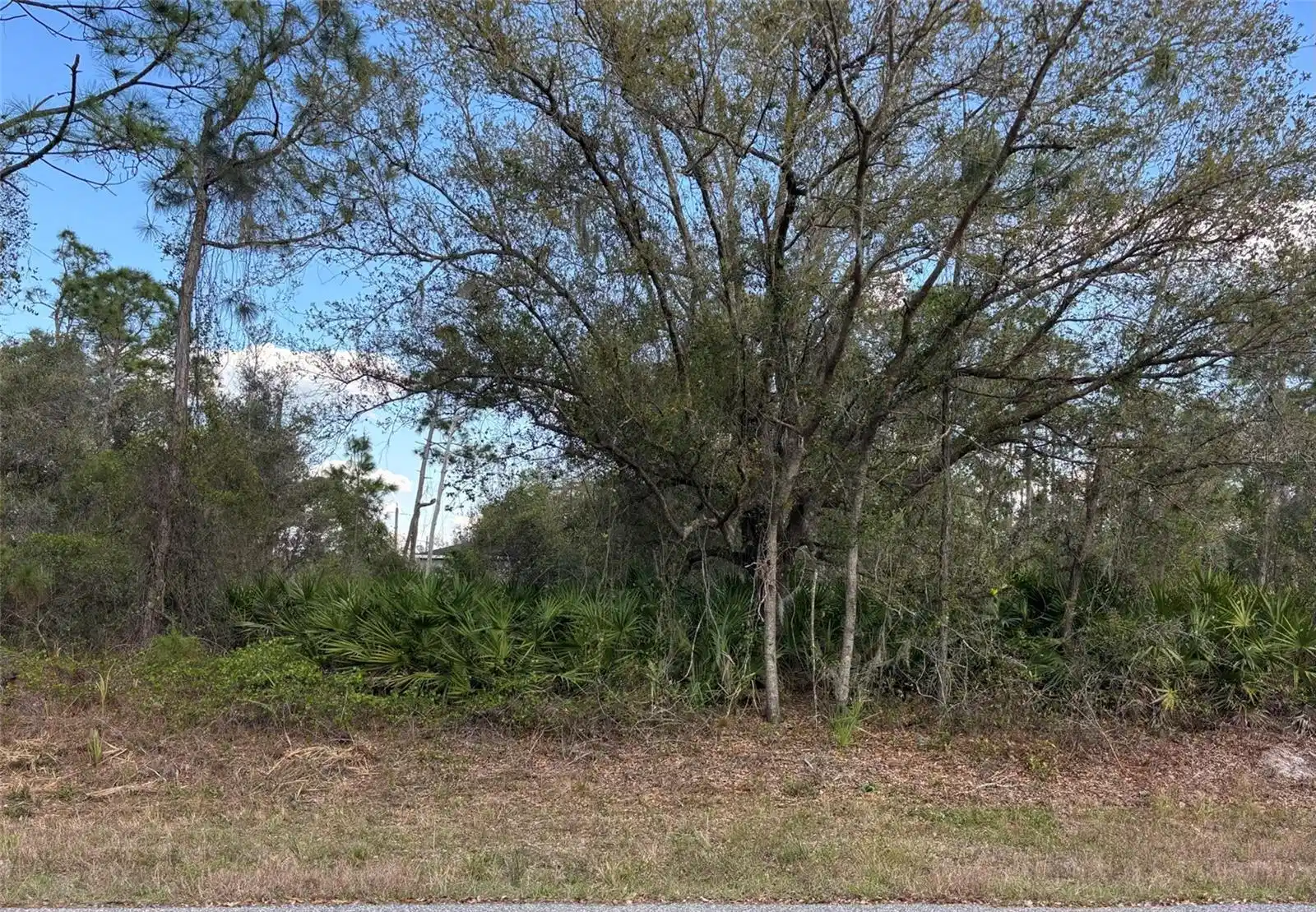 Image 1 Image 1