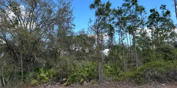 Image 2 Image 2