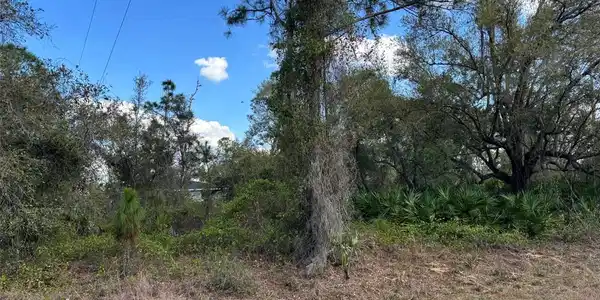 Image 4 Image 4