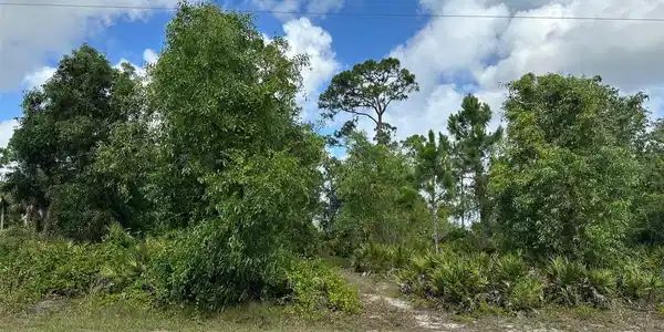 12247 and 12253 GREEN GULF BOULEVARD