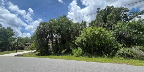 0000 NATURAL STREET
