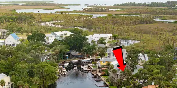 5296 TROPICAL POINT