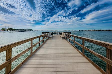 100 BLUFF VIEW DRIVE