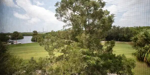 3300 COVE CAY DRIVE