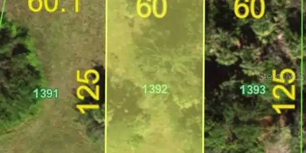 Image 2 Image 2