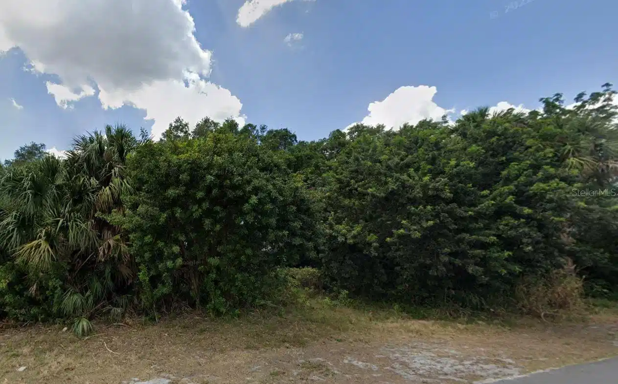Image 1 Image 1