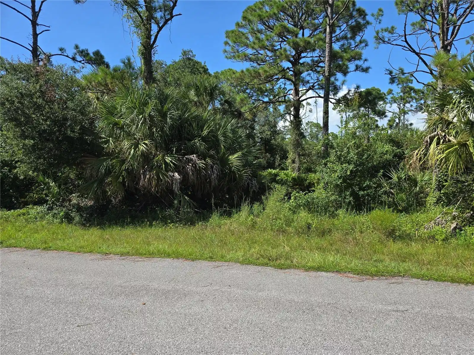 Image 1 Image 1