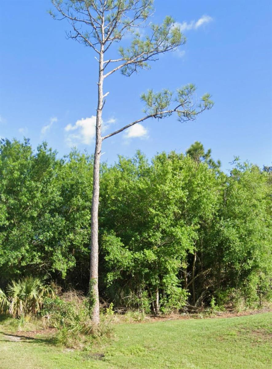 Image 3 Image 3