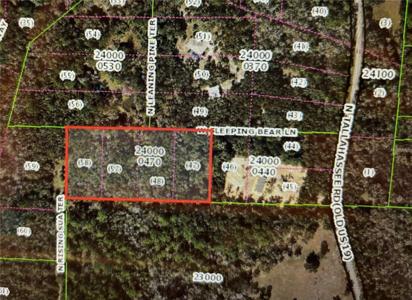 11386 W SLEEPING BEAR LANE