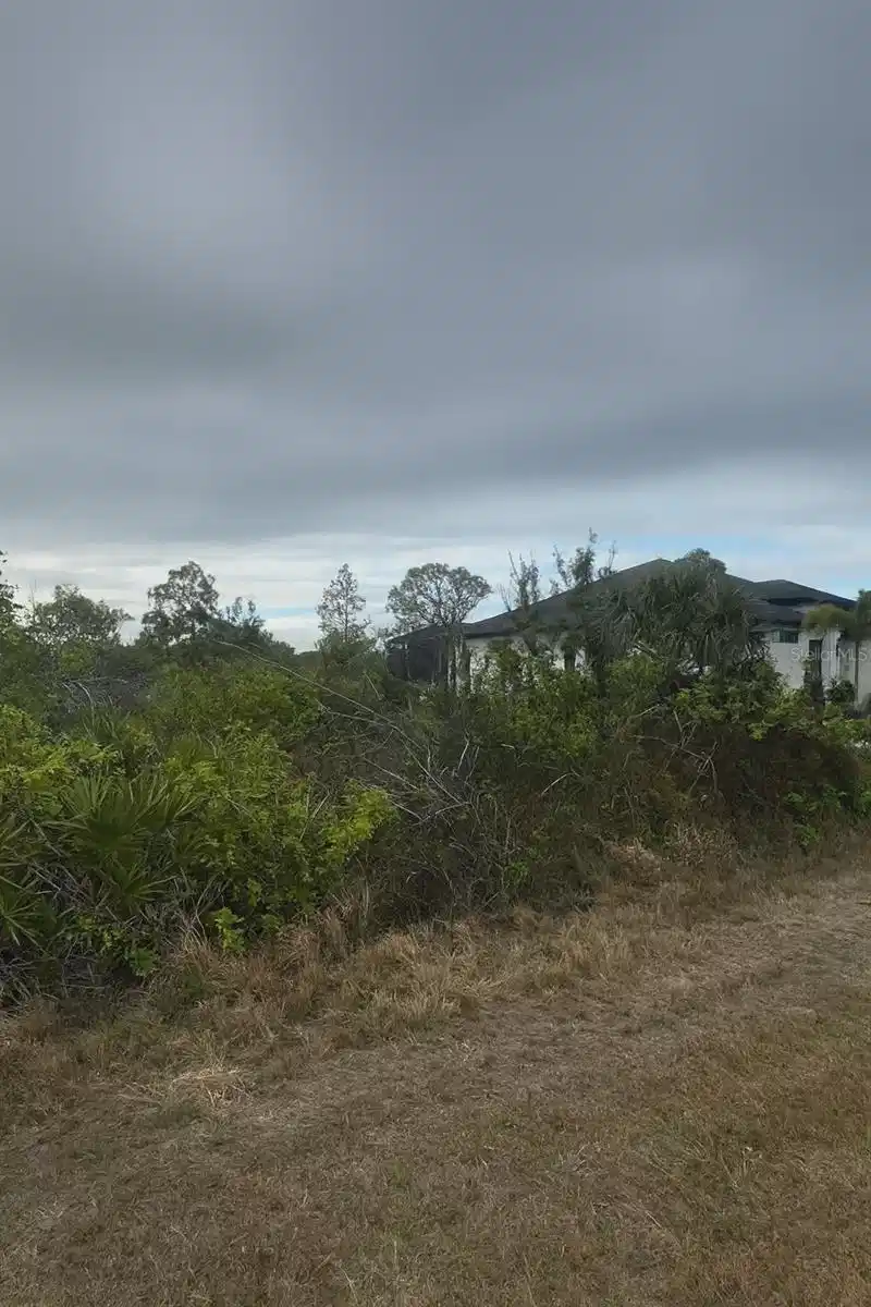 Image 1 Image 1