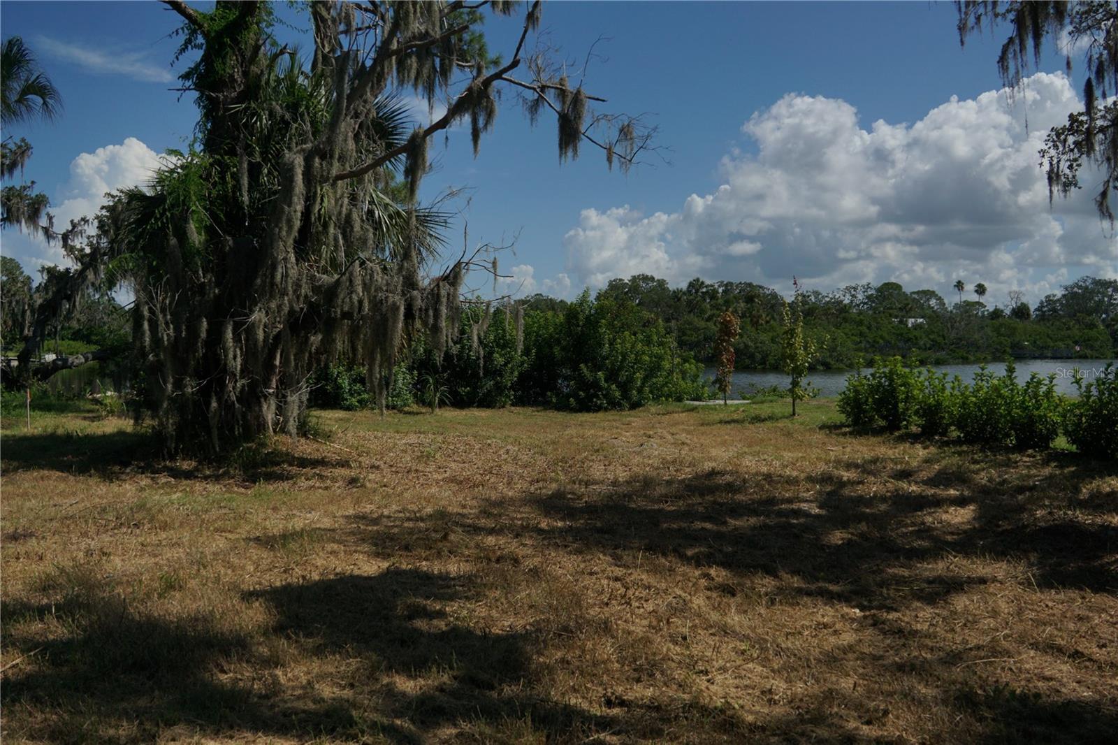 Image 4 Image 4