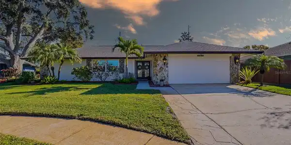 10099 LINDEN PLACE DRIVE