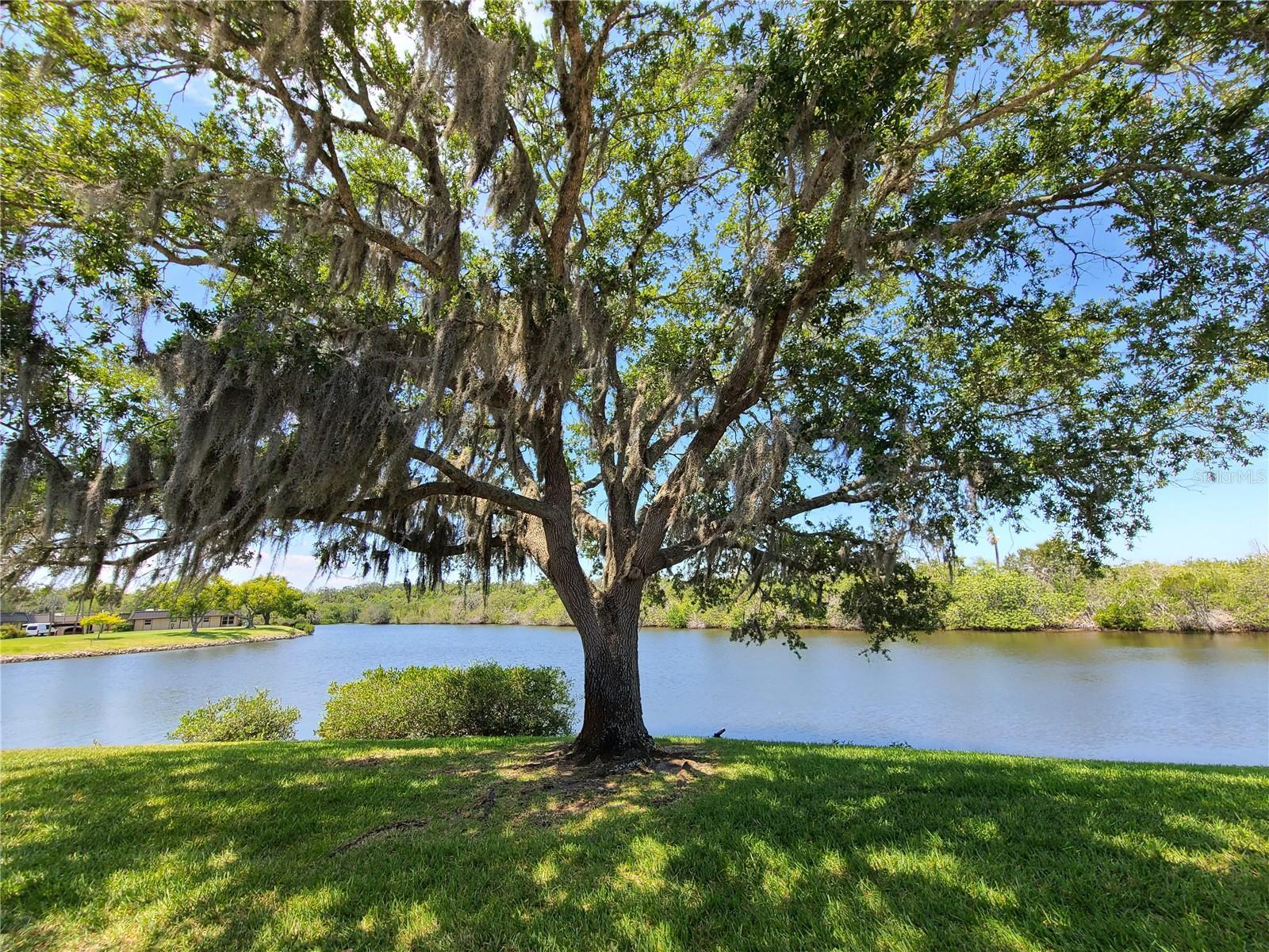 Image 4 Image 4