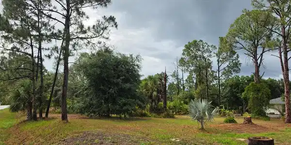 LOT 41 PERENNIAL ROAD