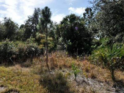 GAMES COURT