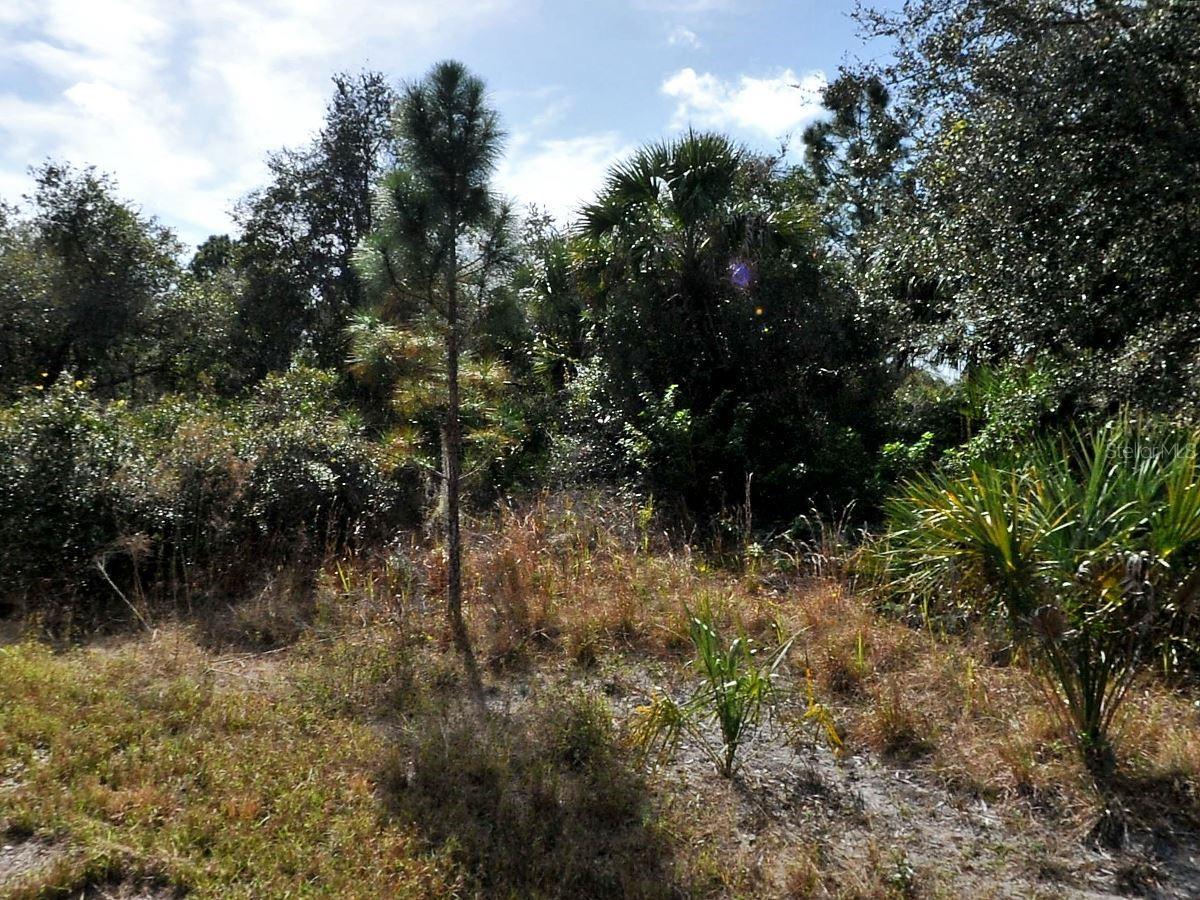 Image 1 Image 1