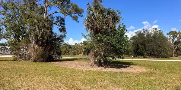 Image 4 Image 4