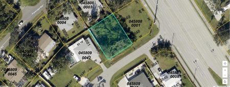 PALMETTO DRIVE