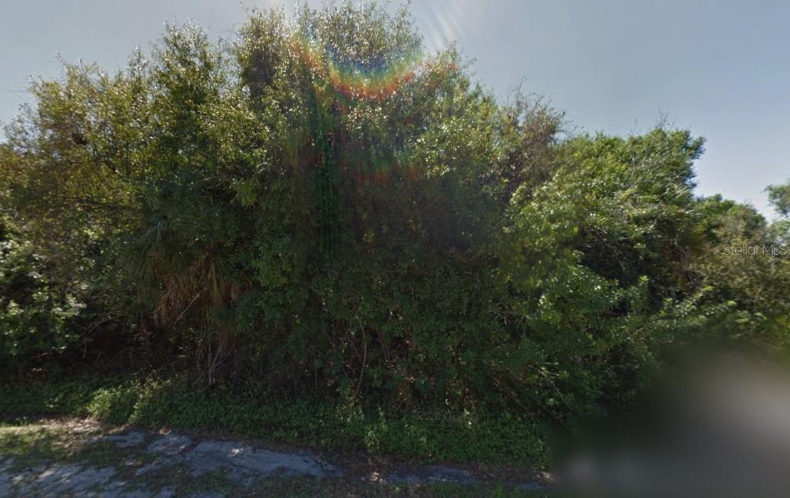 Image 3 Image 3