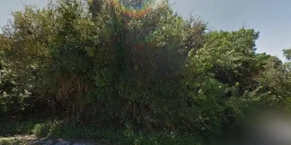 Image 3 Image 3