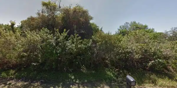 Image 4 Image 4