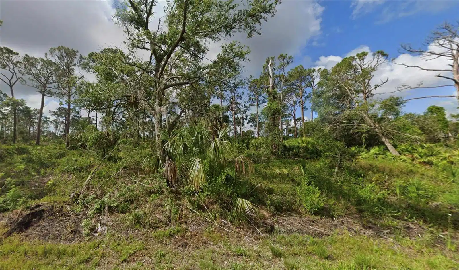 Image 1 Image 1