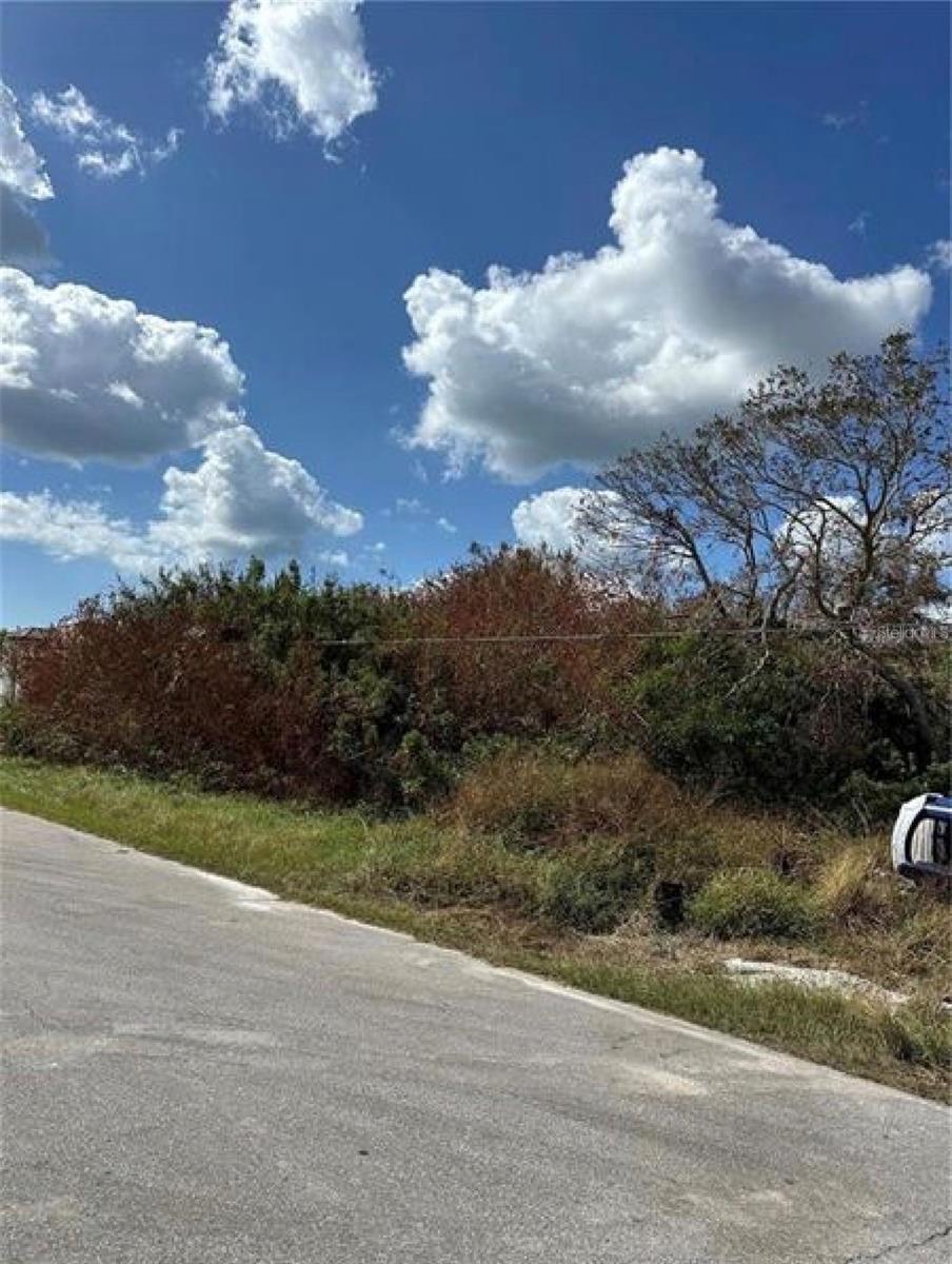 Image 1 Image 1