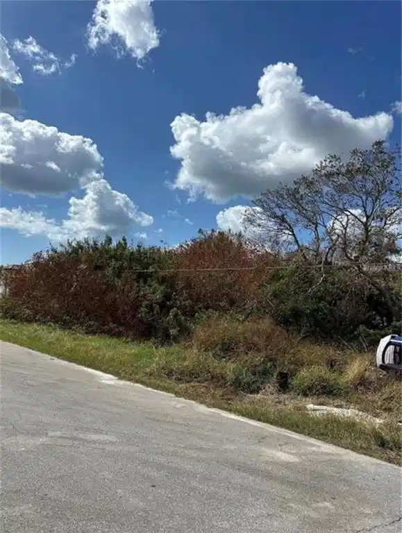 Image 1 Image 1