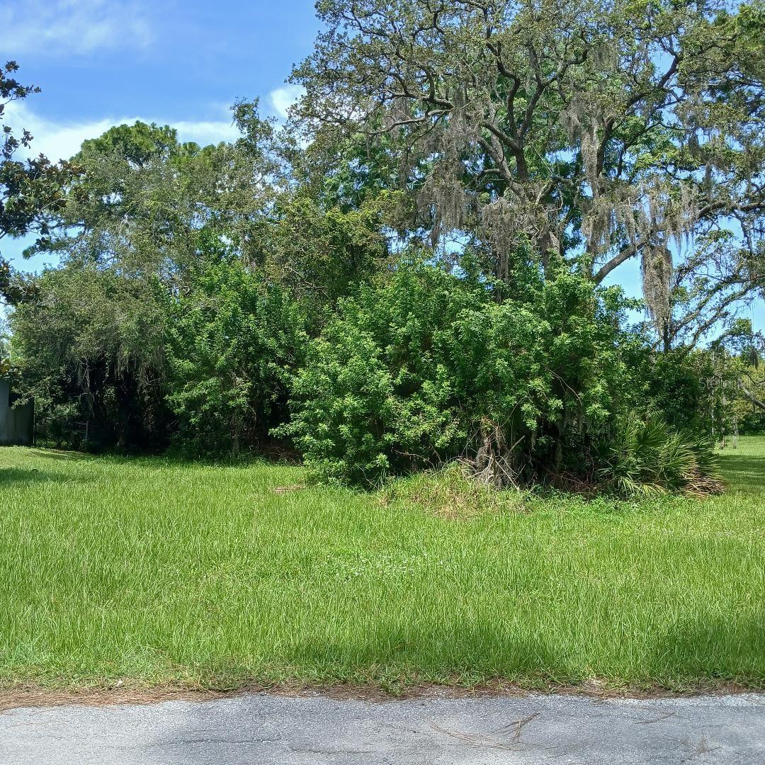 Image 1 Image 1