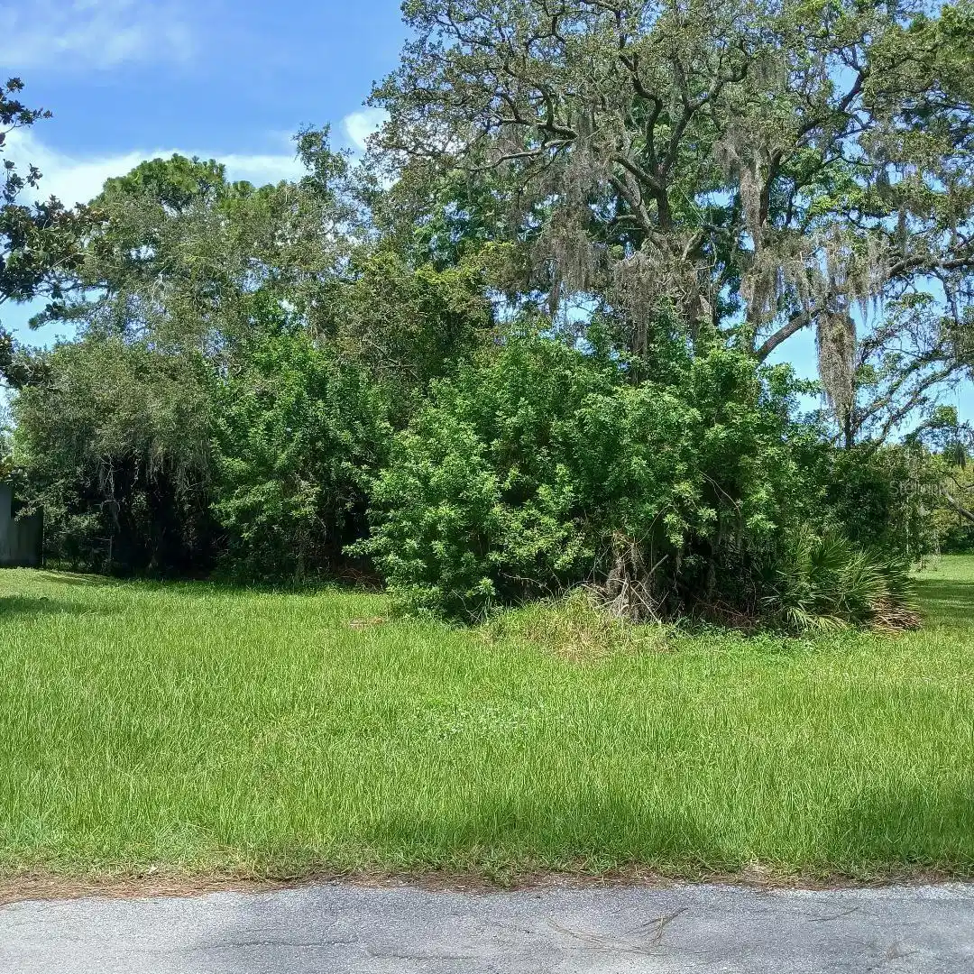 Image 1 Image 1