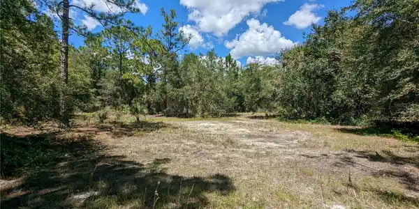 27288 ALOHA DRIVE