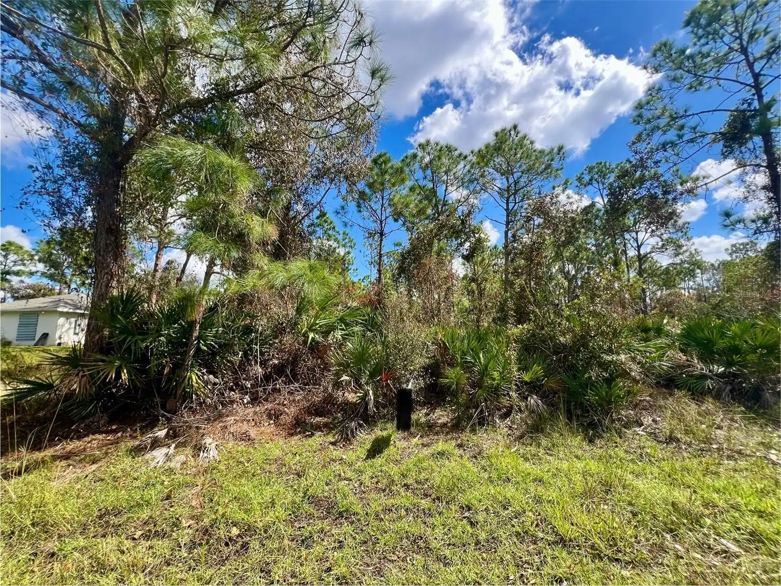 Image 1 Image 1
