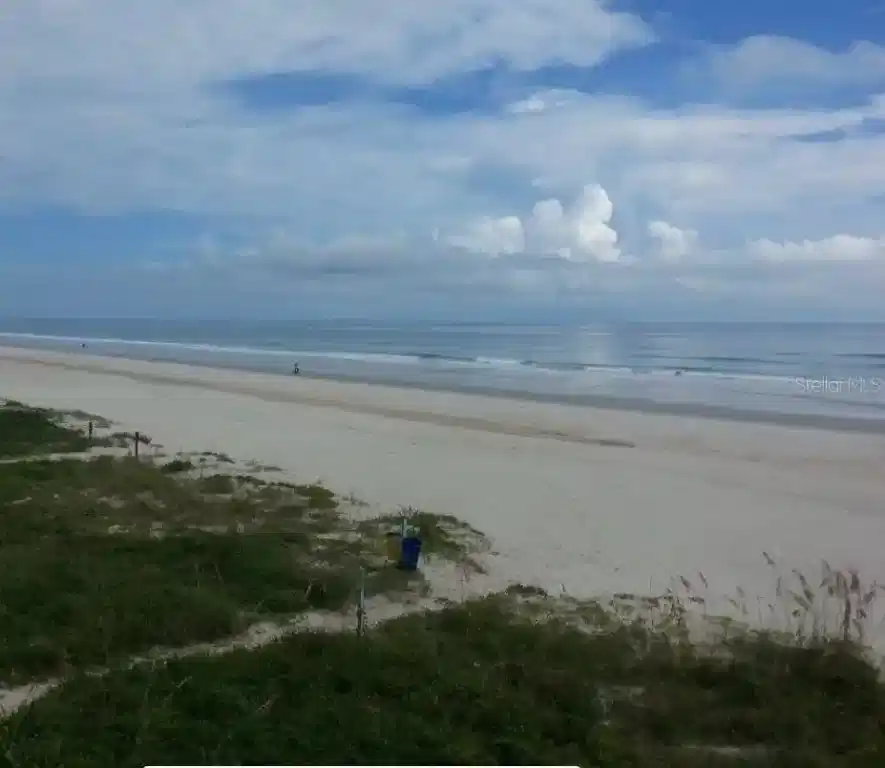 Image 1 Image 1