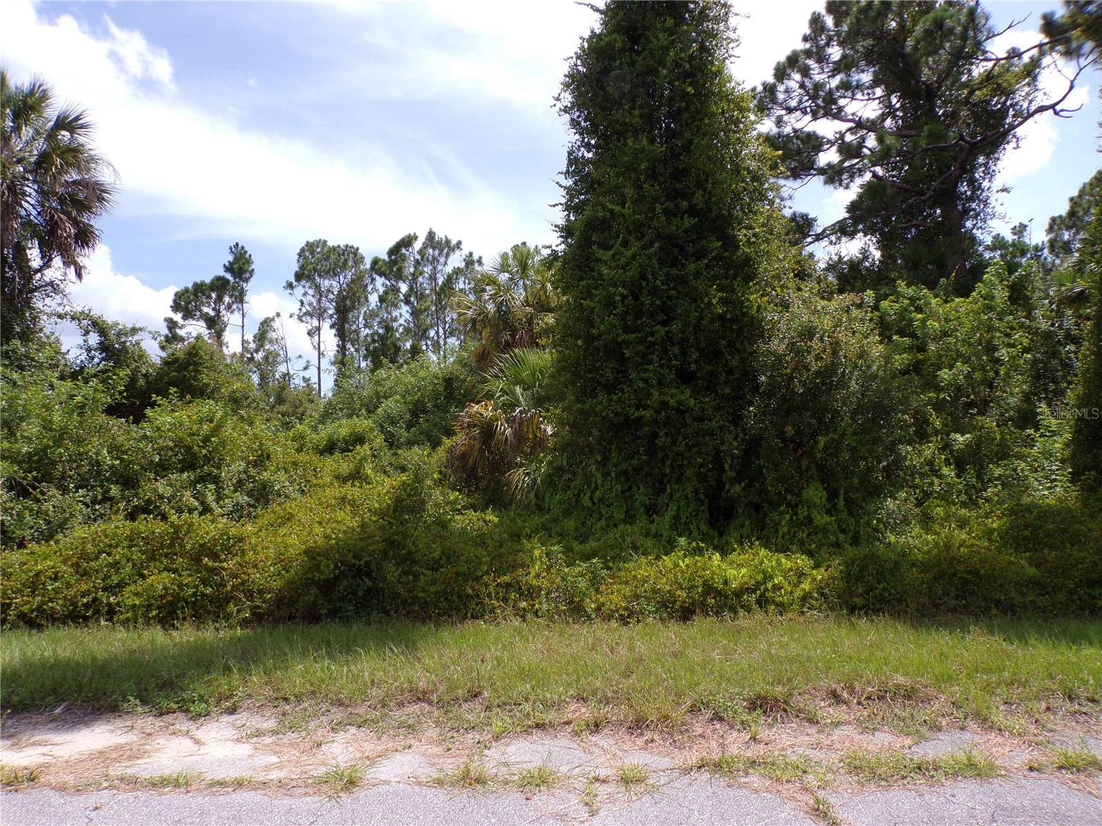 Image 1 Image 1