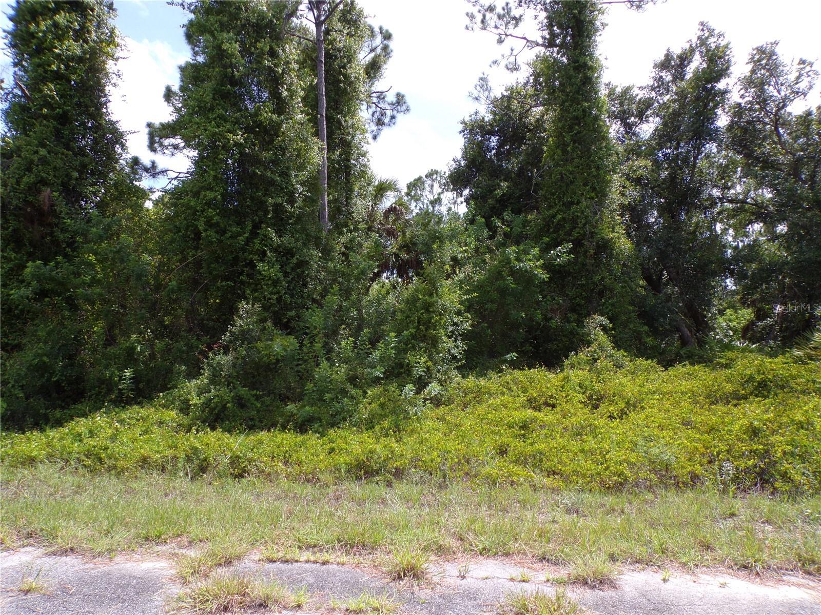 Image 3 Image 3