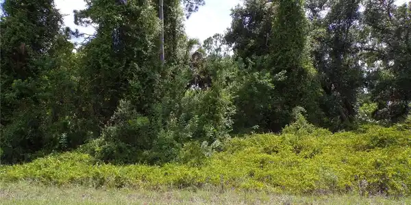 Image 3 Image 3