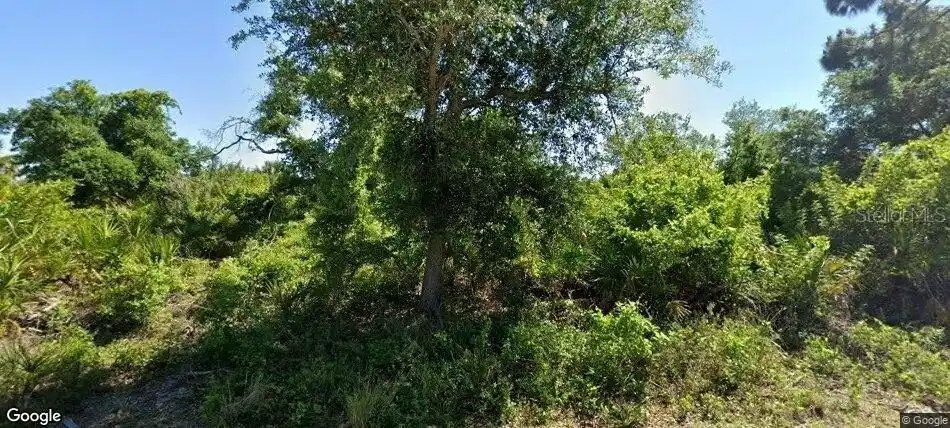 Image 1 Image 1