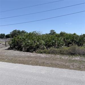 Lot 22 AMERICANA AVENUE