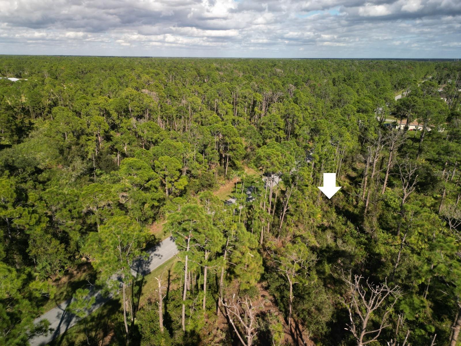 Image 4 Image 4