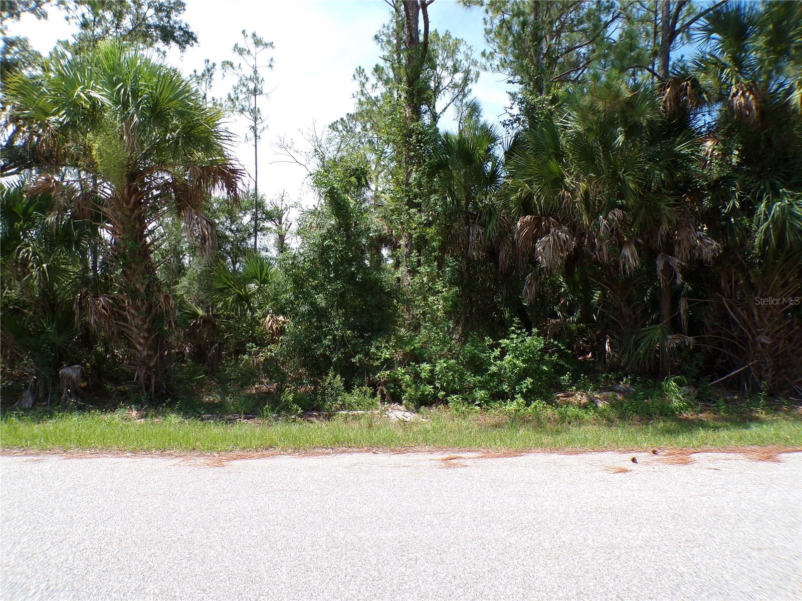 Image 1 Image 1
