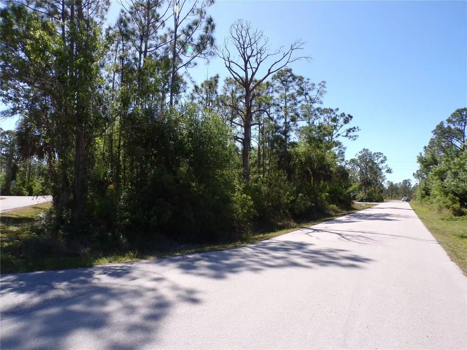 Image 1 Image 1